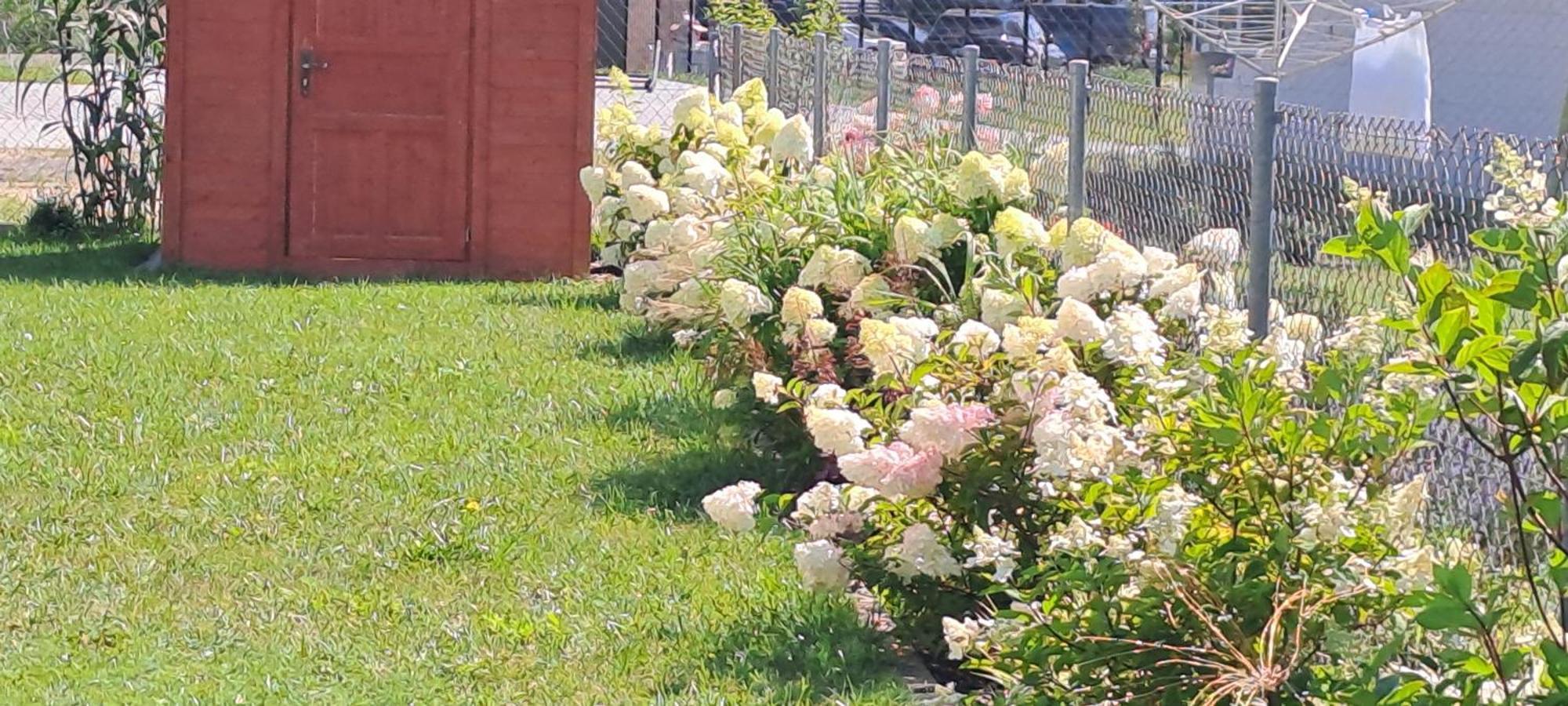 Garden Baltic Βίλα Trzęsacz Εξωτερικό φωτογραφία